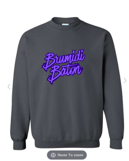 Brumidi Crew Neck Sweatshirt - Charcoal