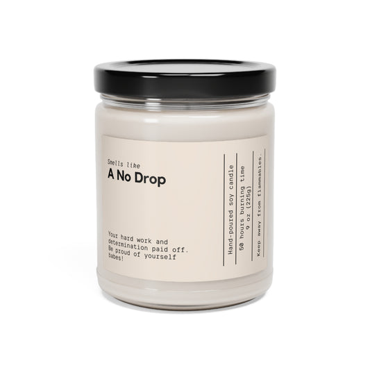 Smells like "A No Drop" Scented Soy Candle, 9oz